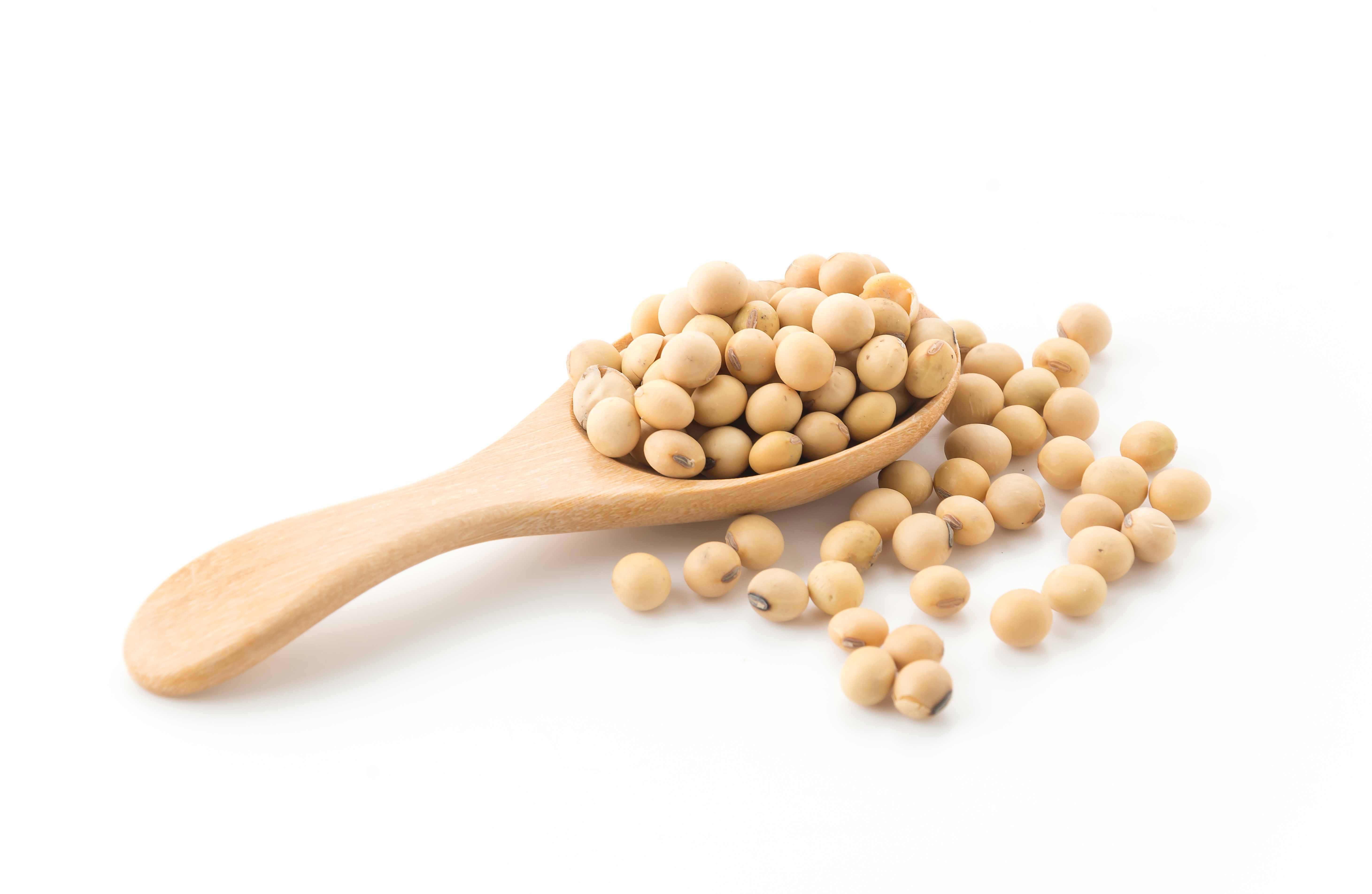soy-beans.jpg (3.75 MB)